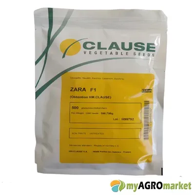 MyAgroMarket Zara F1 κολοκύθι σπόροι 10 σπόρων ανθεκτικό