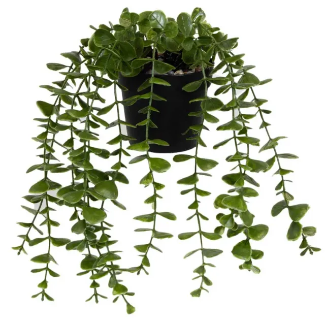 MyAgroMarket Eucalyptus τεχνητό φυτό κρεμαστό 26x16cm