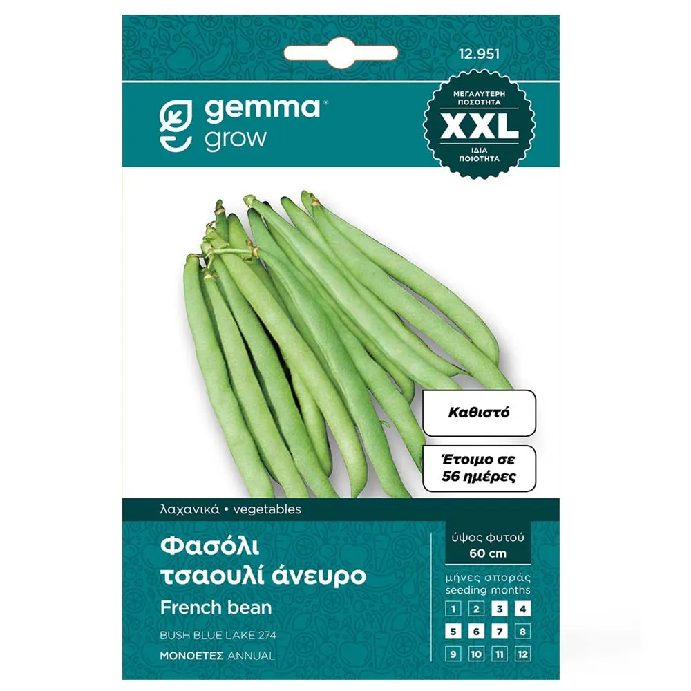 MyAgroMarket Φασόλι Τσαούλι καθιστό σπόροι 60gr άνεβρο