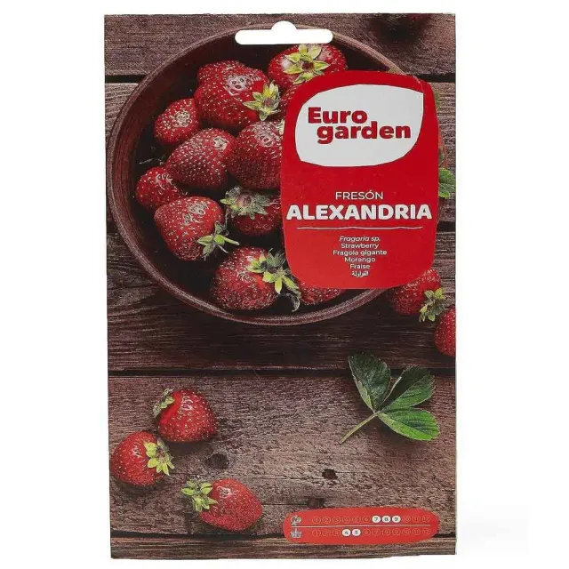 MyAgroMarket φράουλα άγρια Alexandria σπόροι 0,1gr
