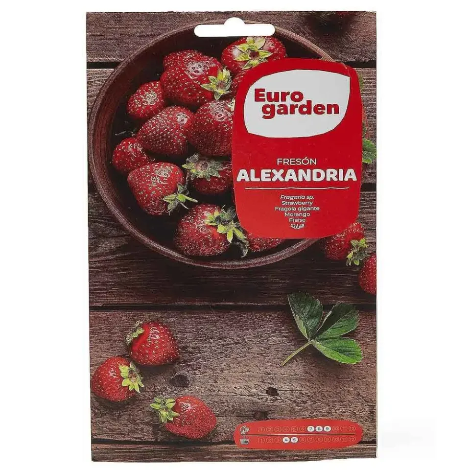 MyAgroMarket φράουλα άγρια Alexandria σπόροι 0,1gr