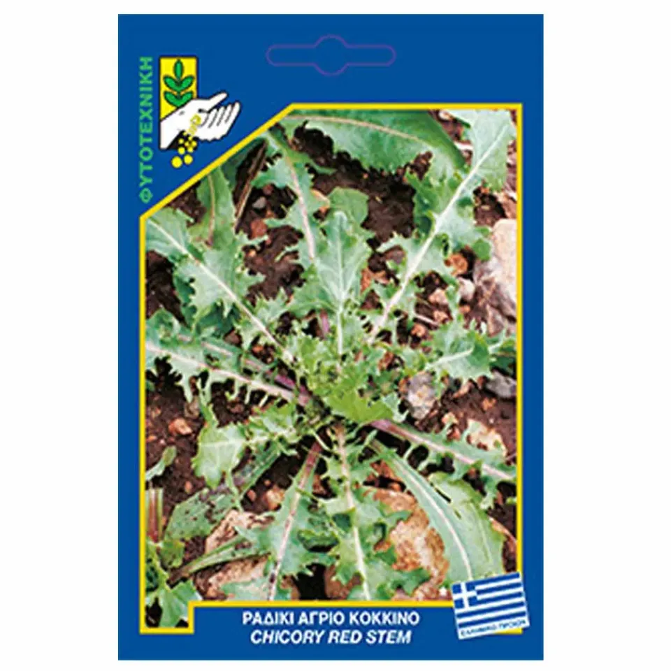 MyAgroMarket Agrio Red σπόροι ραδίκι άγριο 10gr κόκκινο