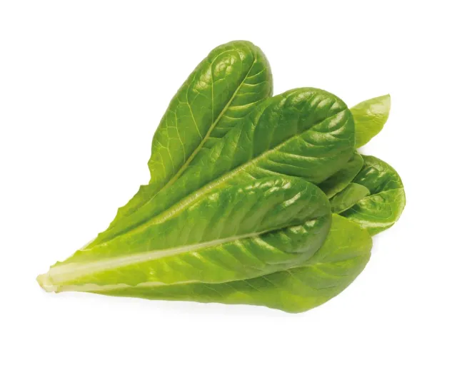Click and Grow Romaine Lettuce κάψουλες μαρουλιού 3 τεμ
