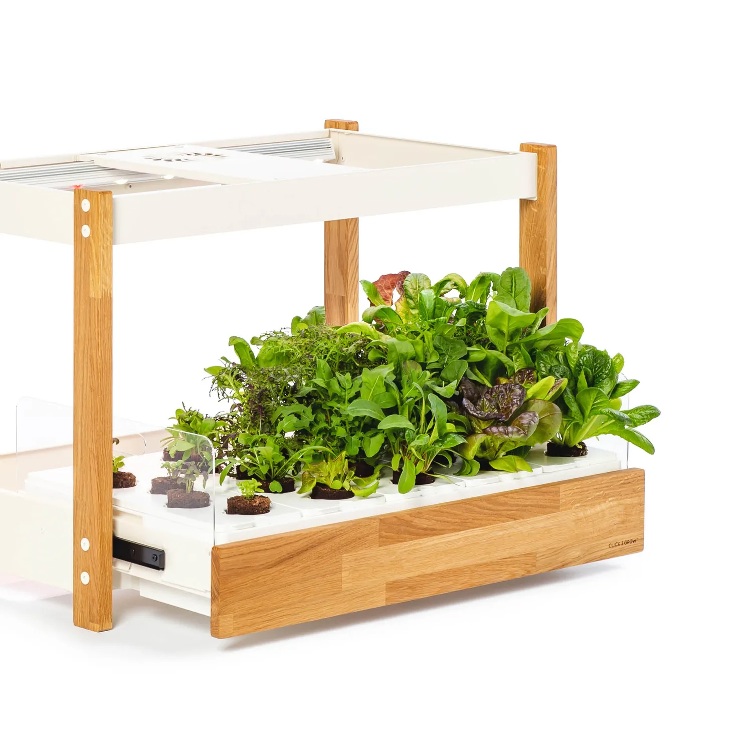 Click and Grow 25 έξυπνος κήπος λευκό συνεχή σοδειά
