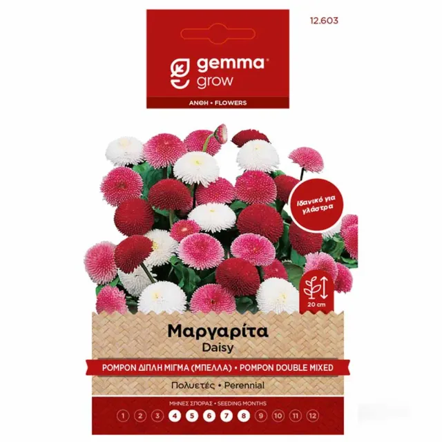 MyAgroMarket Μαργαρίτα Μπέλλα 0,3gr pompon μίγμα
