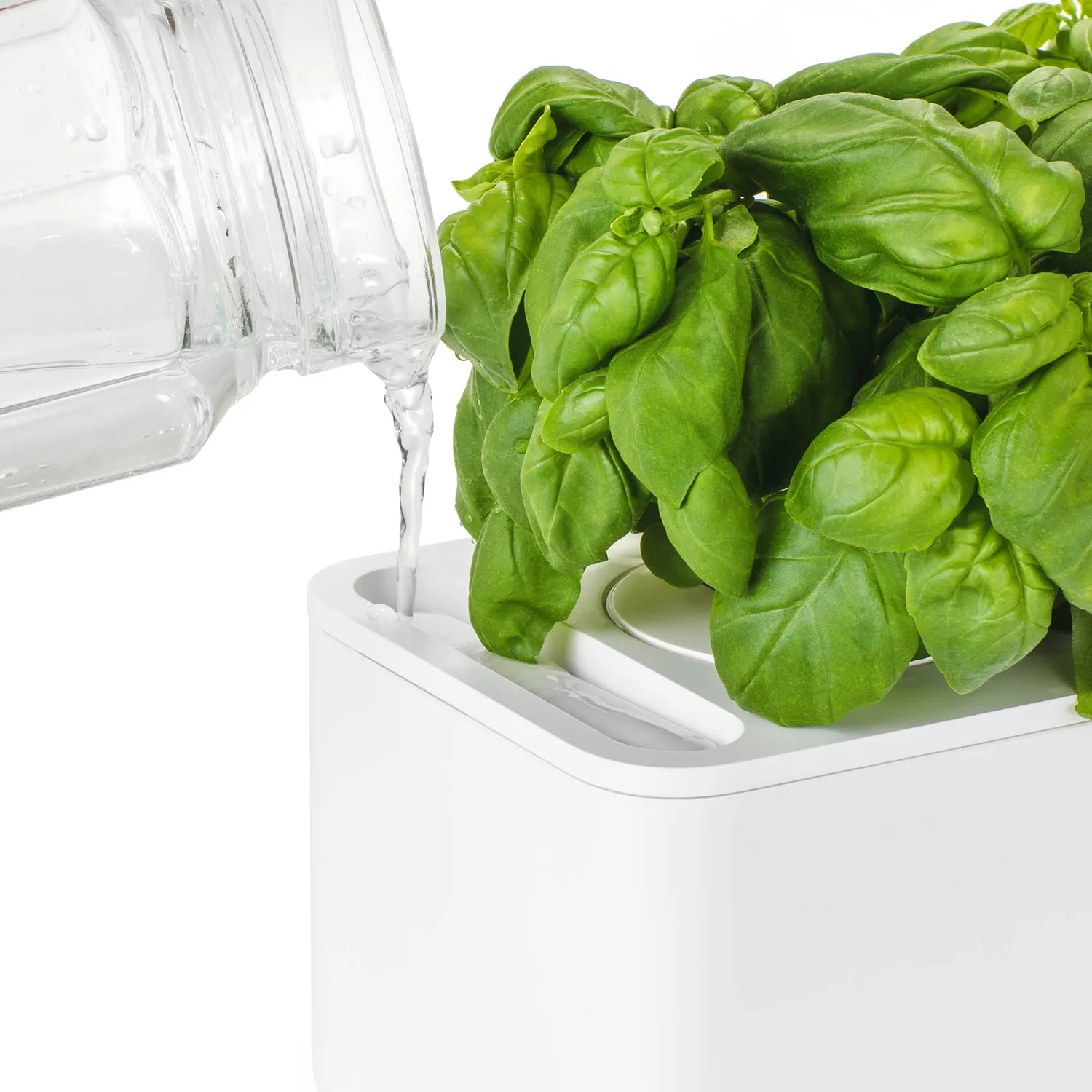 Click and Grow Smart Garden 3 έξυπνη γλάστρα 3 θέσεων λευκή