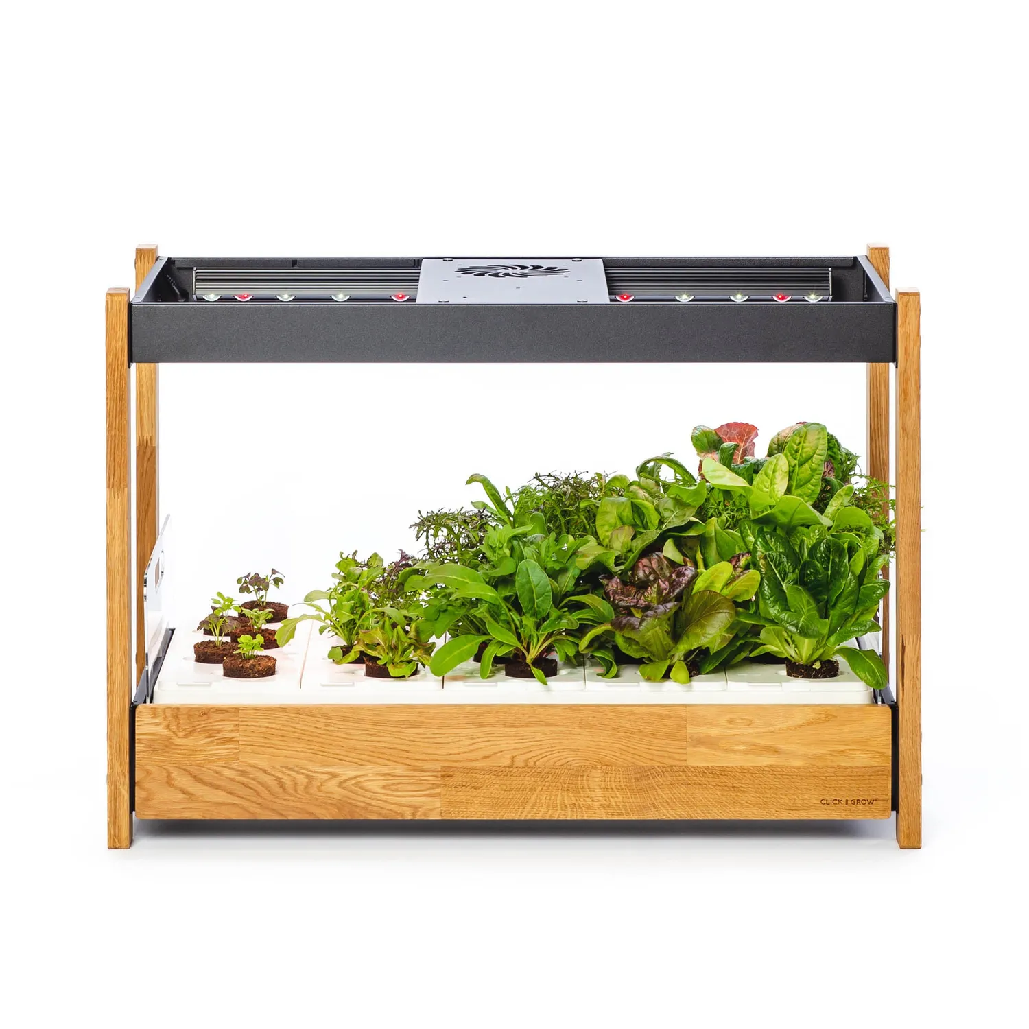 Click and Grow 25 έξυπνος κήπος λευκό συνεχή σοδειά