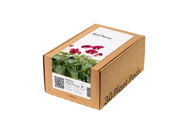 Click and Grow Πανσές κάψουλες λουλουδιών 30 τεμαχίων κόκκινο