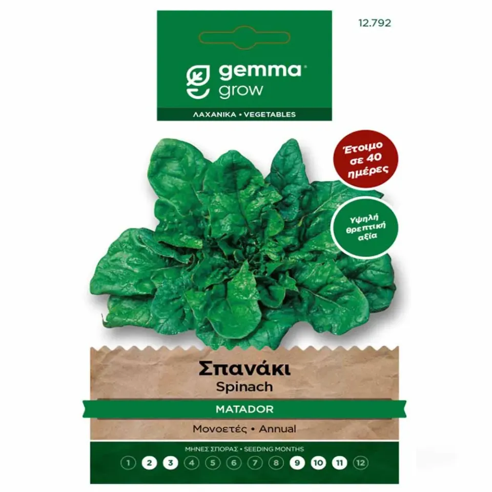 MyAgroMarket Matador σπόροι σπανακιού 15gr σγουρά