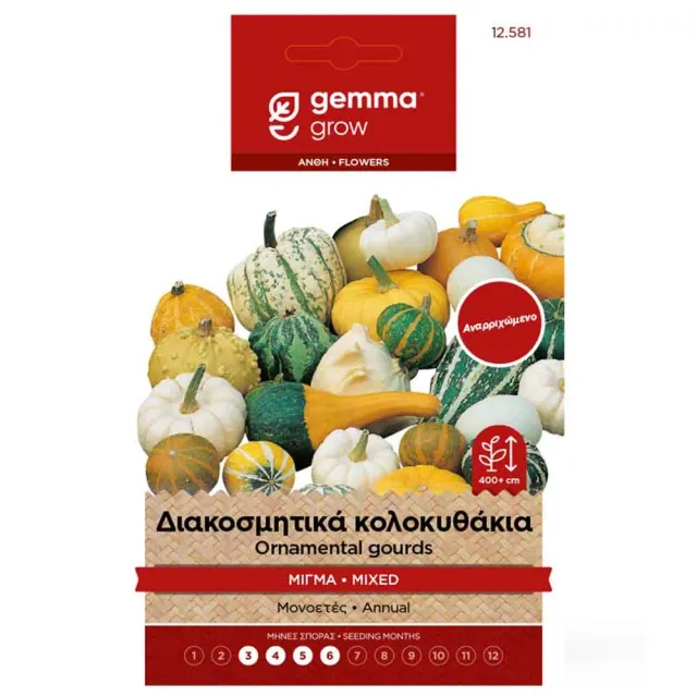 MyAgroMarket κολοκύθα διακοσμητική σπόροι 2gr μίγμα