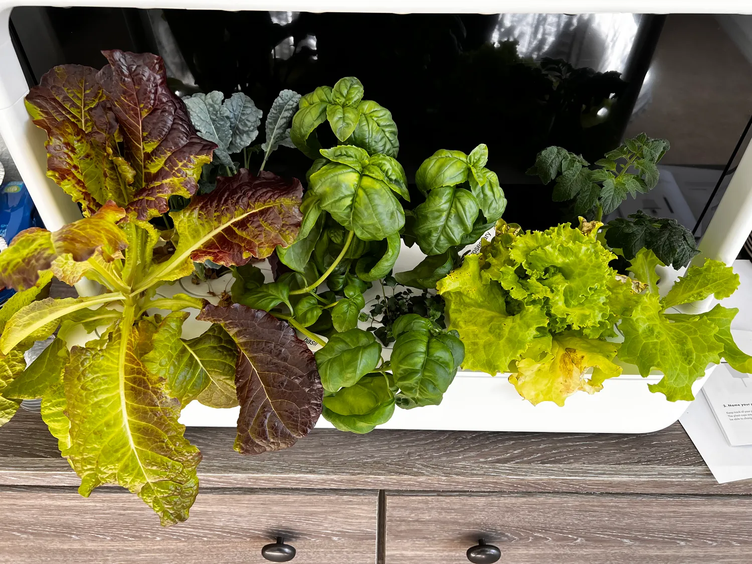 Click and Grow 25 έξυπνος κήπος λευκό συνεχή σοδειά