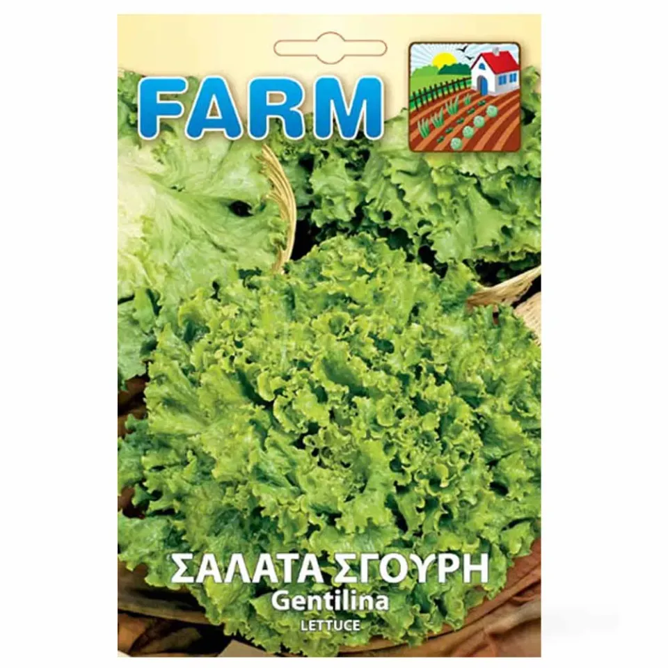 MyAgroMarket Μαρούλι Gentilina σπόροι 5gr σγουρό