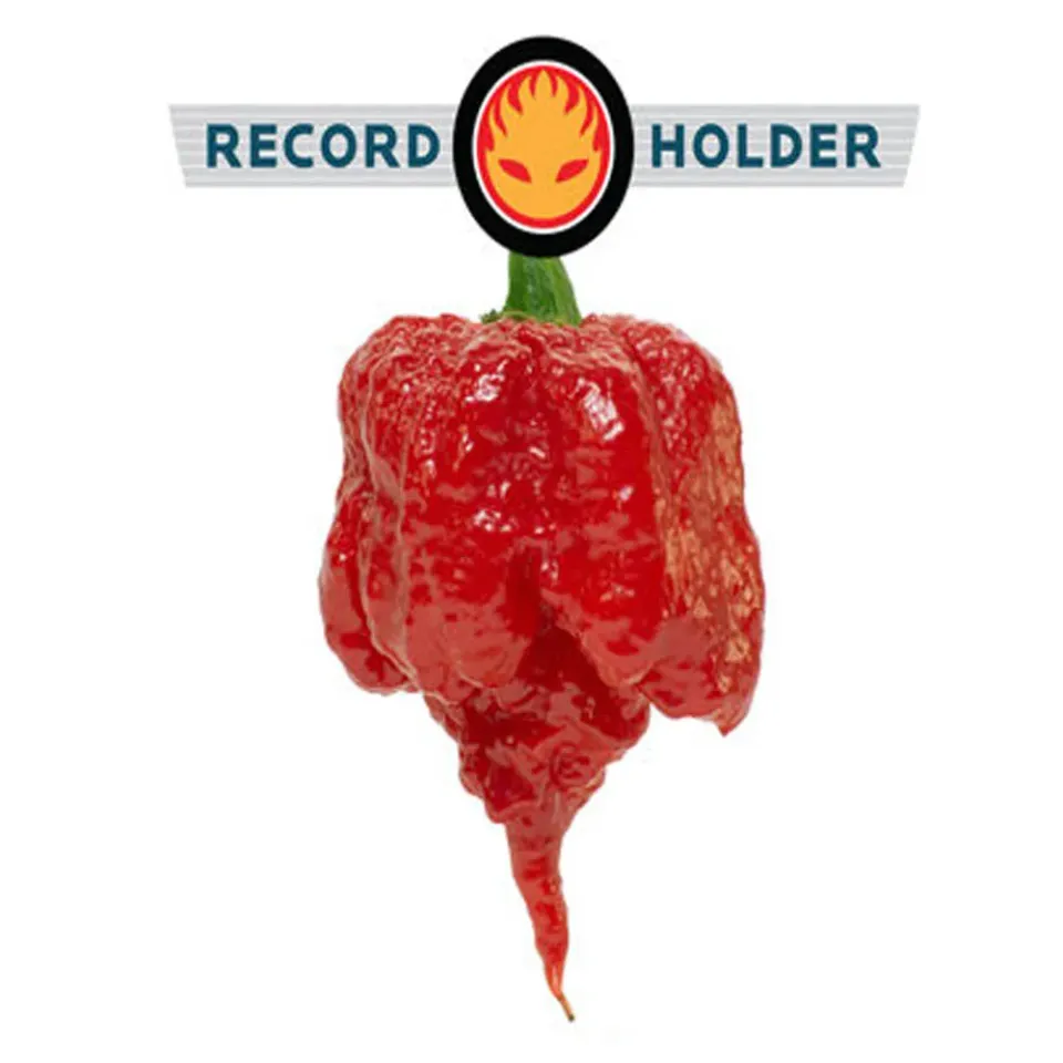 MyAgroMarket Carolina Reaper σπόροι καυτερής πιπεριάς 5 τεμ