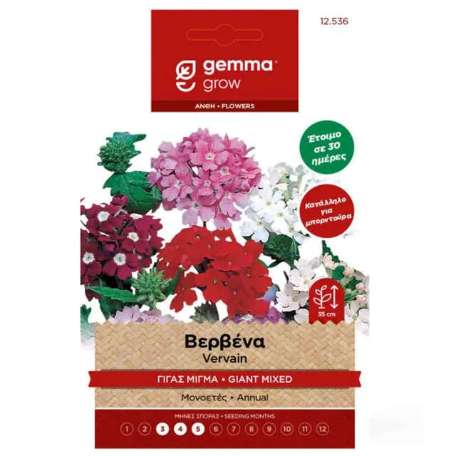 MyAgroMarket Βερβένα Γίγας Μίγμα σπόροι 0,5gr μπορντούρα