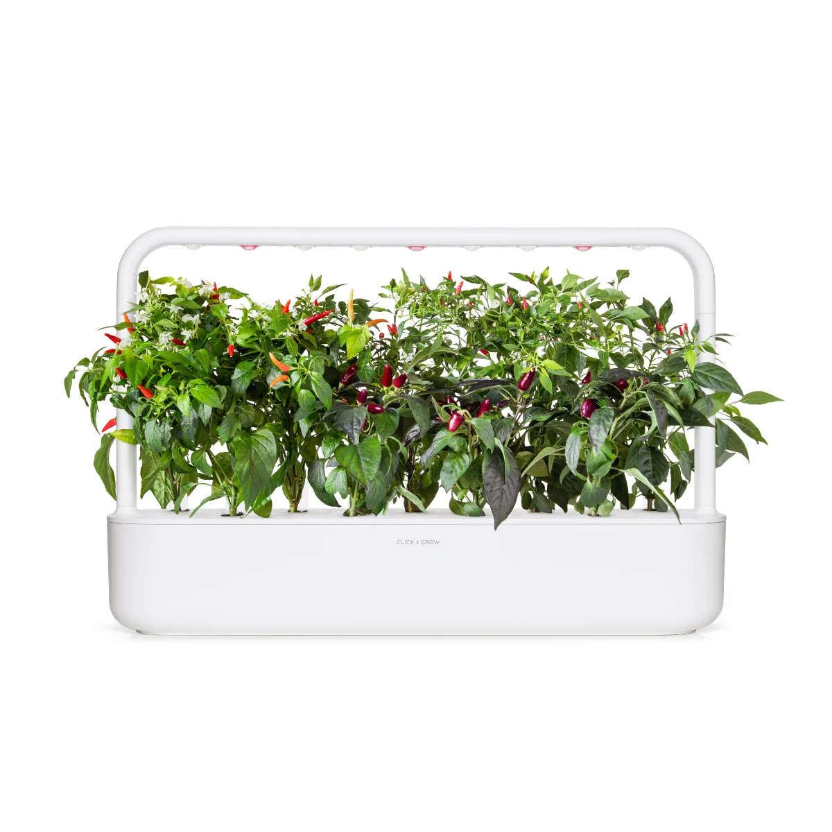 Click and Grow Chili Pepper Mix κάψουλες πιπεριάς 9 τεμαχίων