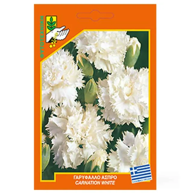 MyAgroMarket γαρύφαλλο άσπρο σπόροι Dianthus γλάστρα
