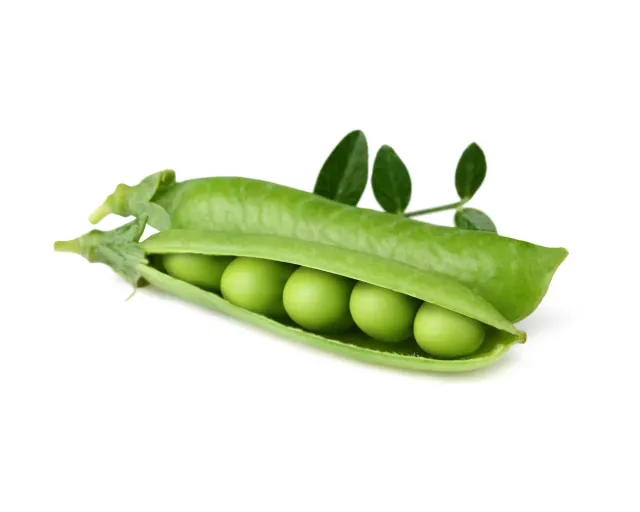 Click and Grow Dwarf Pea κάψουλες αρακά νάνου 3 τεμ
