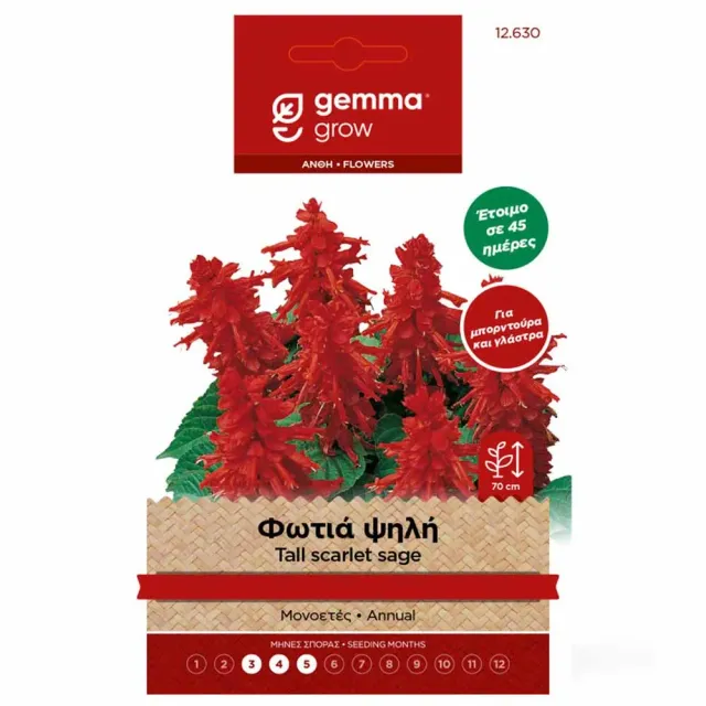 MyAgroMarket ψηλή σάλβια φωτιά σπόροι 0,3gr κόκκινη