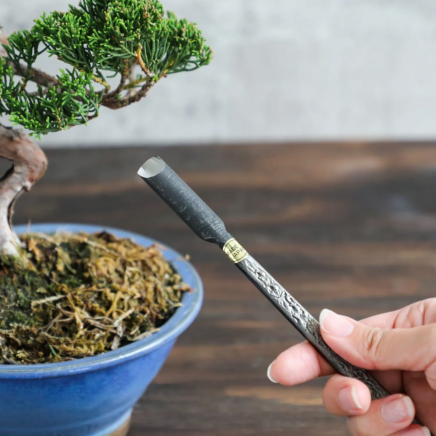 Wazakura Κυρτό Σκαρπέλο Bonsai 185mm Ανθρακούχο
