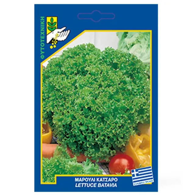 MyAgroMarket μαρούλι σγουρό Magenta σπόροι 3gr batavia