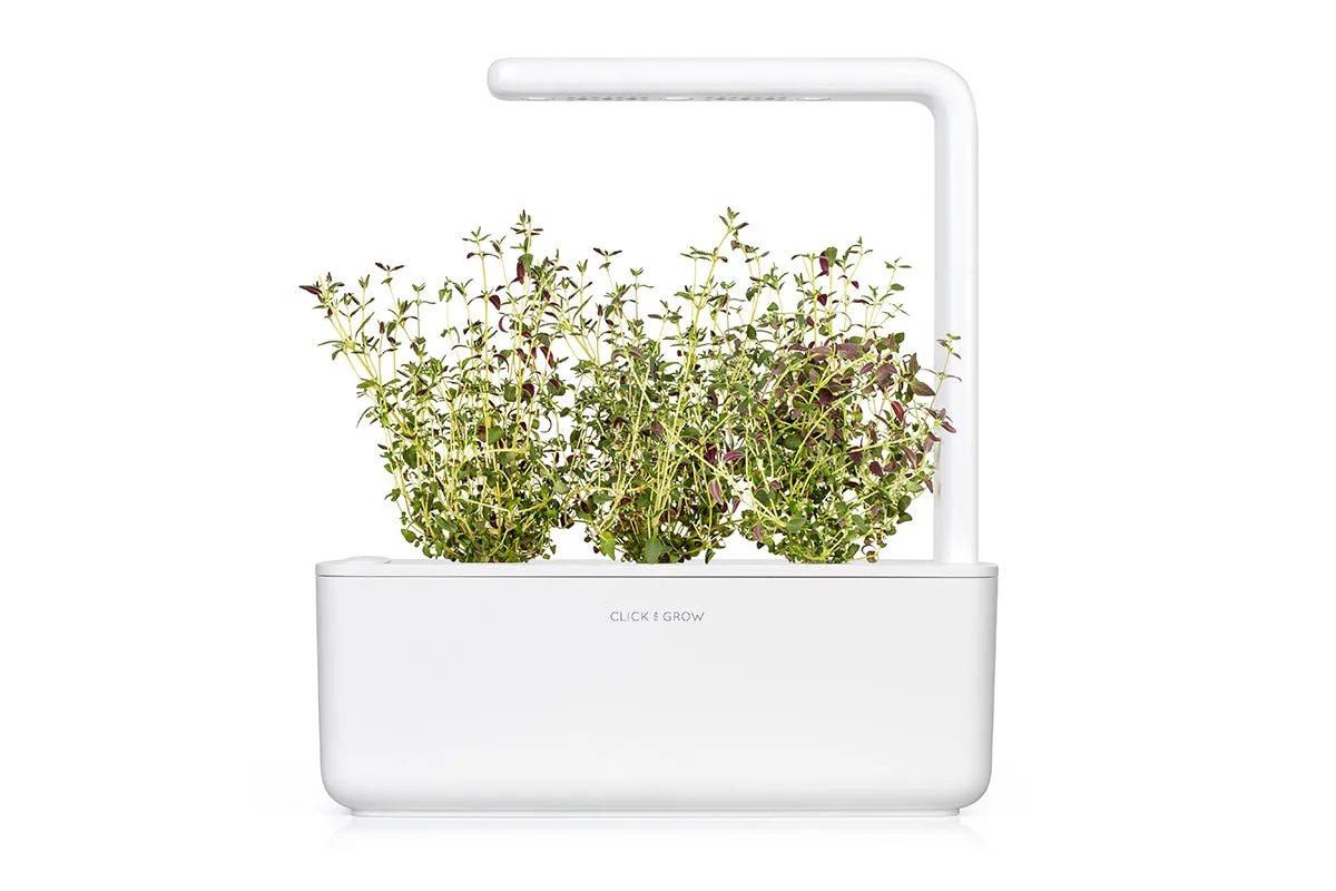 Click and Grow Thyme κάψουλες φυτών 3-pack μαγειρικής
