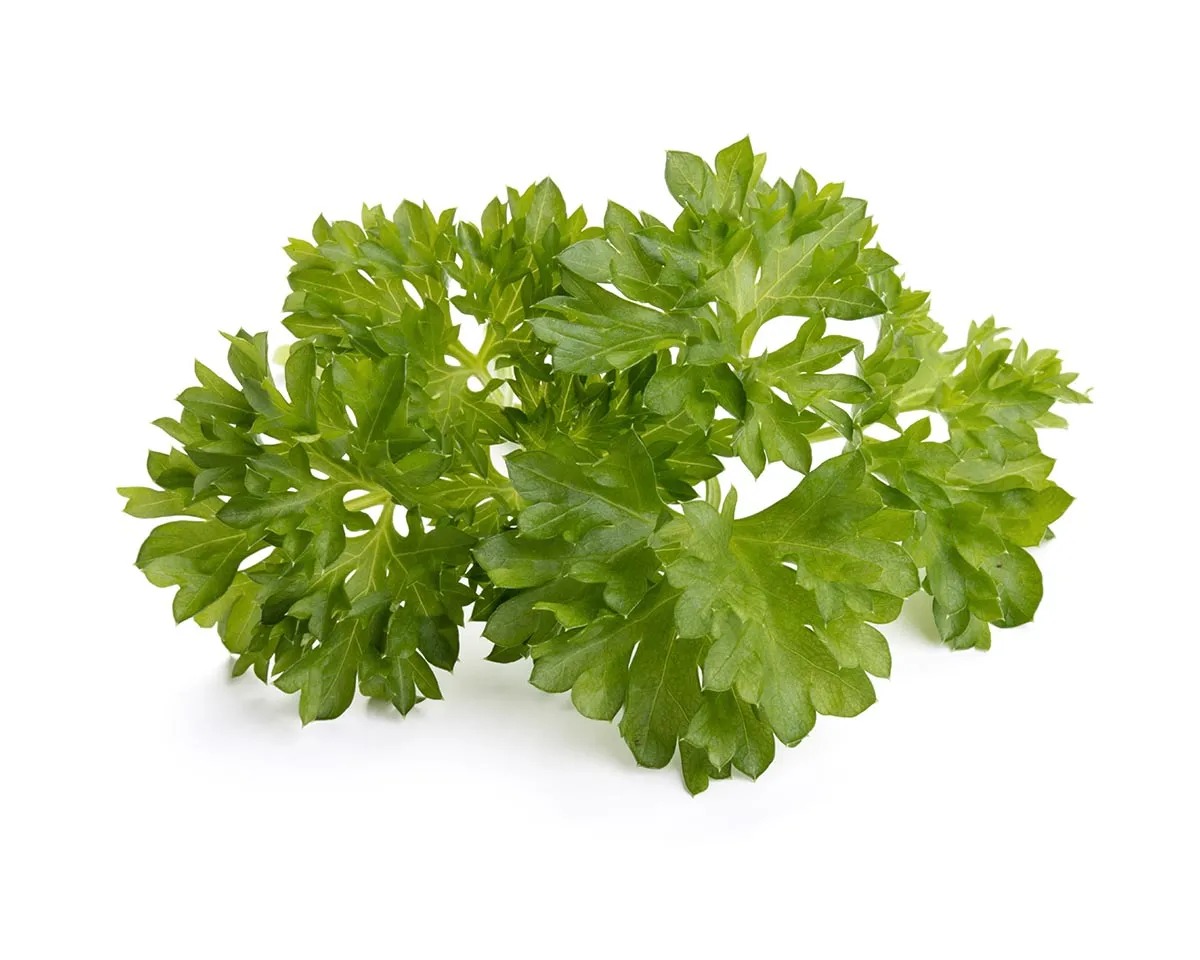 Click and Grow Curly Parsley κάψουλες φυτών 30 τεμαχίων