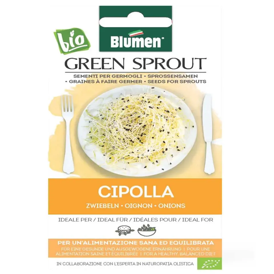 MyAgroMarket Κρεμμύδι βιολογικοί σπόροι για φύτρα 10gr