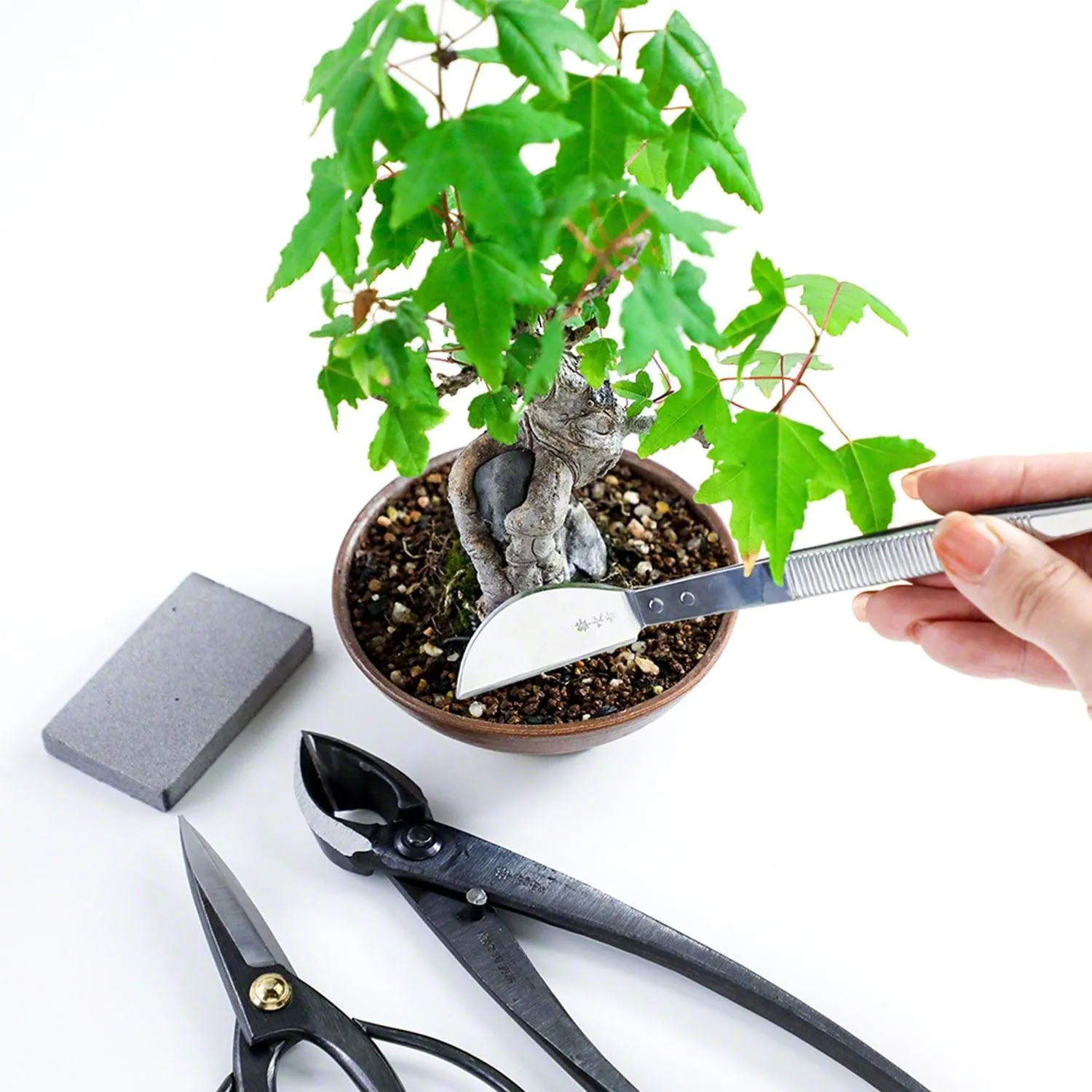 Wazakura Essential Kit σετ εργαλείων μπονσάι 4 τεμαχίων ανθρακούχο