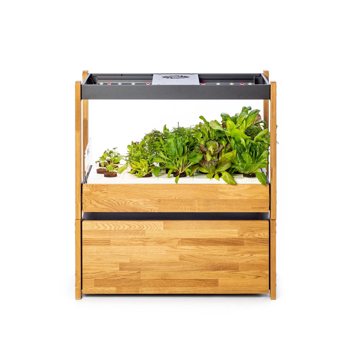 Click and Grow 25 συρταριέρα λευκή δρυς 75x43x30