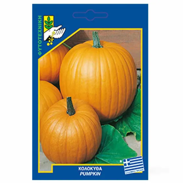 MyAgroMarket Κολοκύθα γίγας πορτοκαλί σπόροι 5gr για πίτες