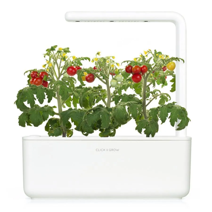 Click and Grow Mini Tomato κάψουλες 3 τεμ ντοματίνια