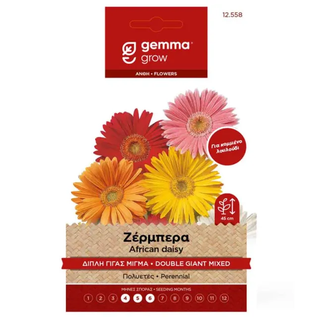 Ζέρμπερα διπλή γίγας σπόροι 0,04gr μίγμα