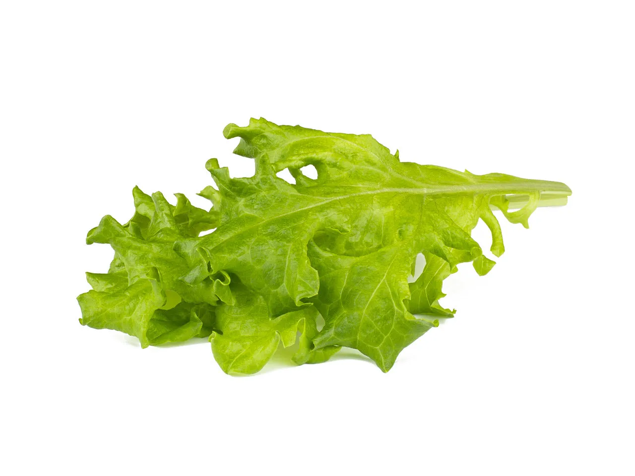 Click and Grow Oakleaf Lettuce κάψουλες φυτών 9-pack τραγανό