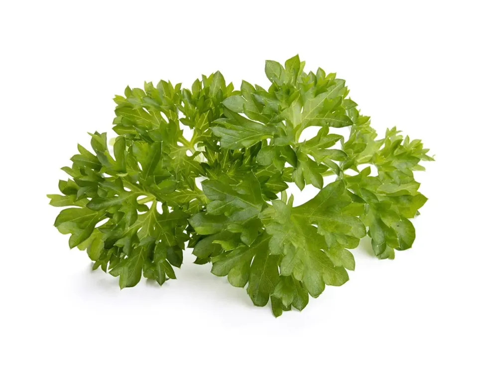Click and Grow Curly Parsley κάψουλες μαϊντανού 3 τεμαχίων κατσαρός