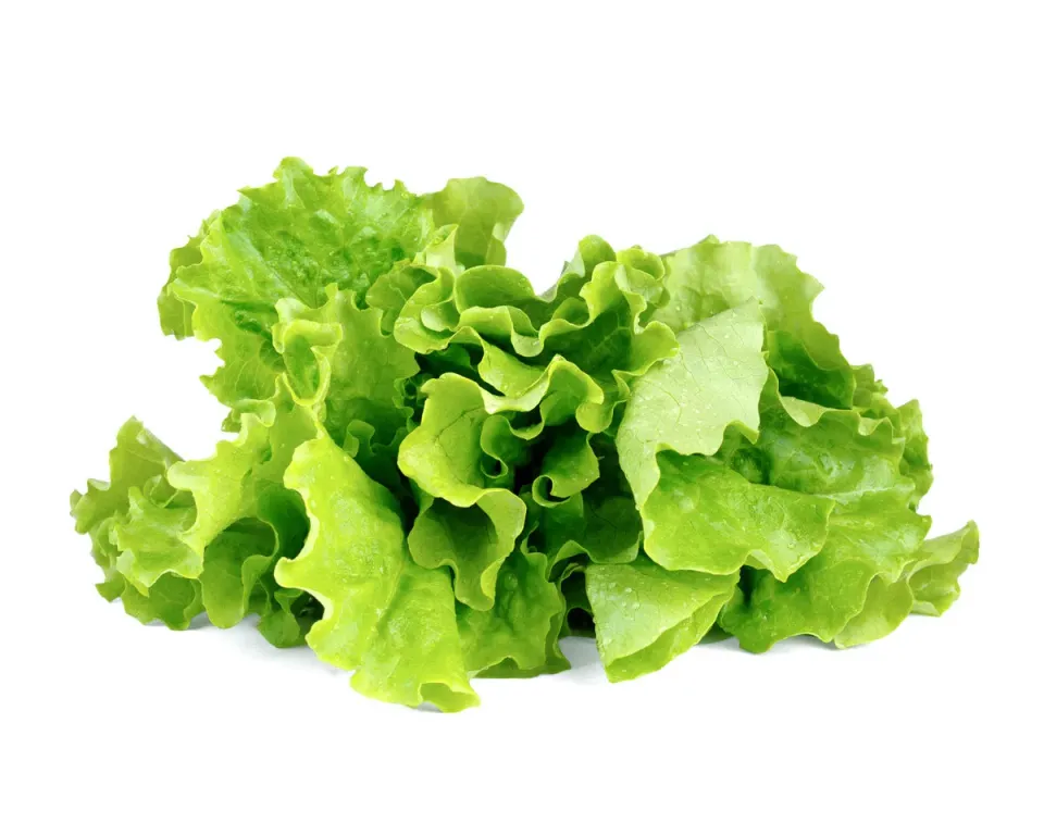 Click and Grow Μαρούλι κάψουλες φυτών 3 τεμαχίων πράσινο