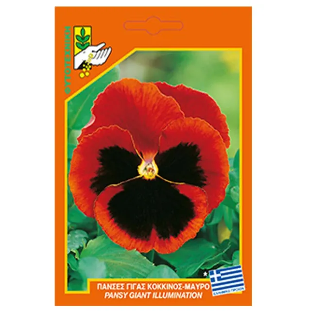 MyAgroMarket πανσές γίγας σπόροι 0,2gr κόκκινο-μαύρο