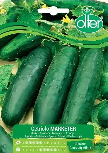 Olter Marketer σπόρος αγγούρι 18-20 εκ πρώιμος
