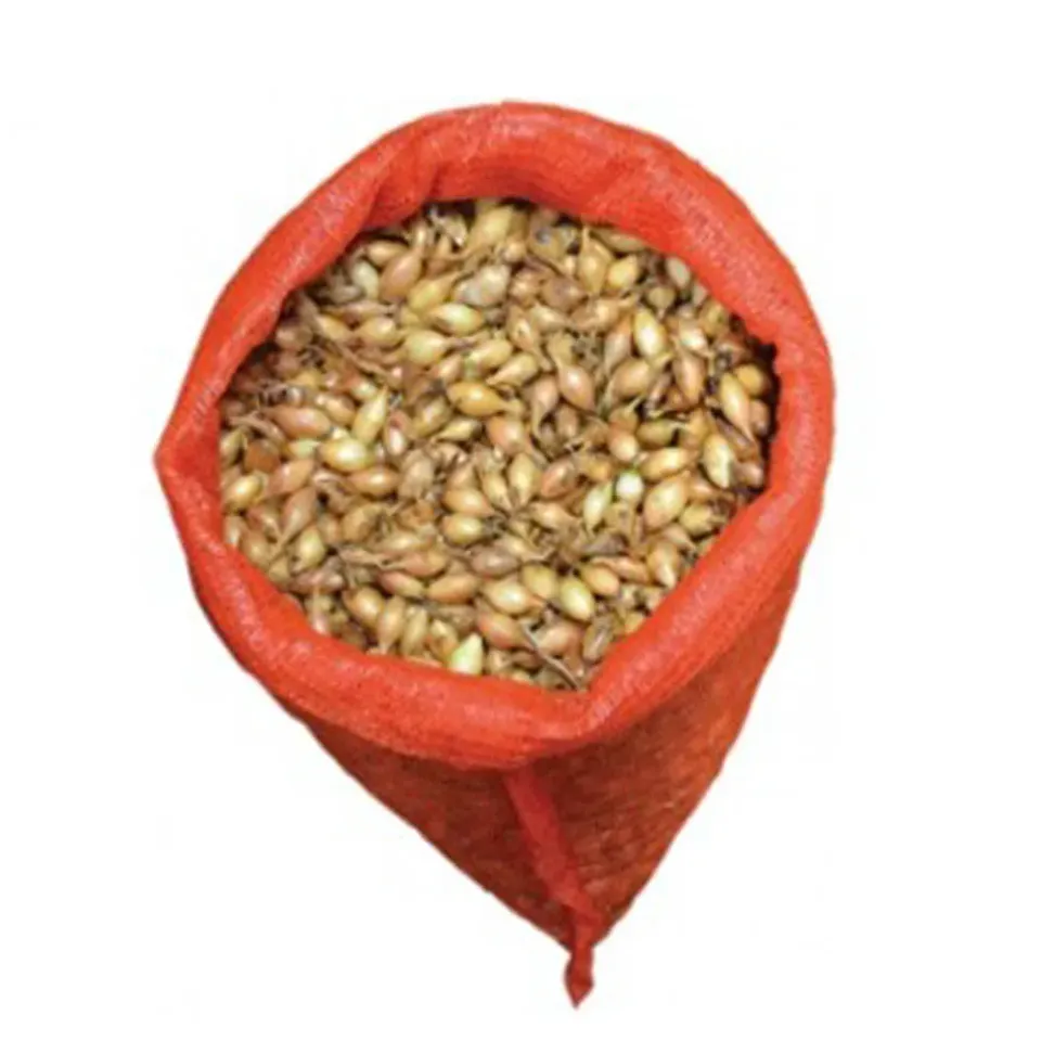 MyAgroMarket Sturon 14-21 κοκκάρι μακρύ κρεμμύδι 1kg