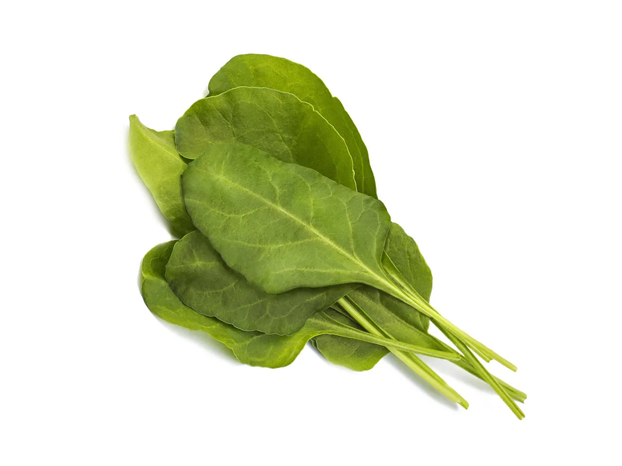 Click and Grow Green Chard κάψουλες φυτών 9-pack θρεπτικό
