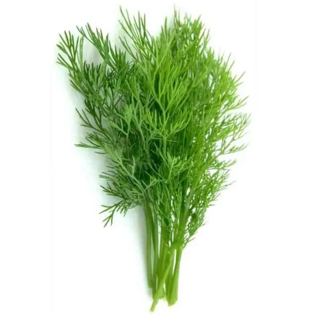 MyAgroMarket ελληνικός σπόροι άνηθου 10g αρωματικός