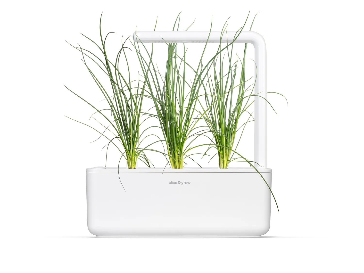 Click and Grow Green Onion κάψουλες φυτών 3 τεμ για φρέσκο