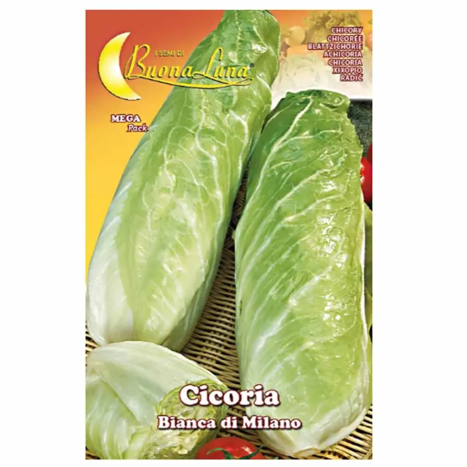 MyAgroMarket Ραντίτσιο Bianca di Milano σπόροι 12gr