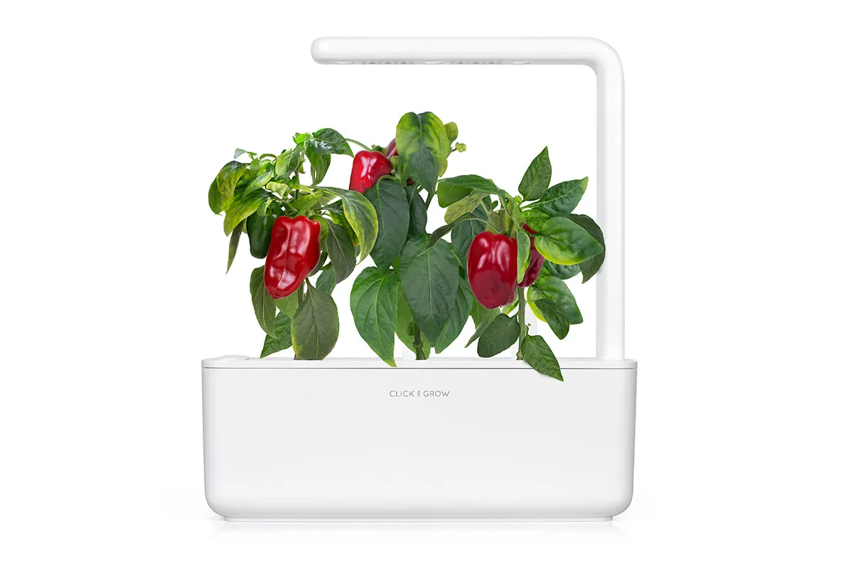 Click and Grow Red Sweet Pepper κάψουλες 3 τεμάχια