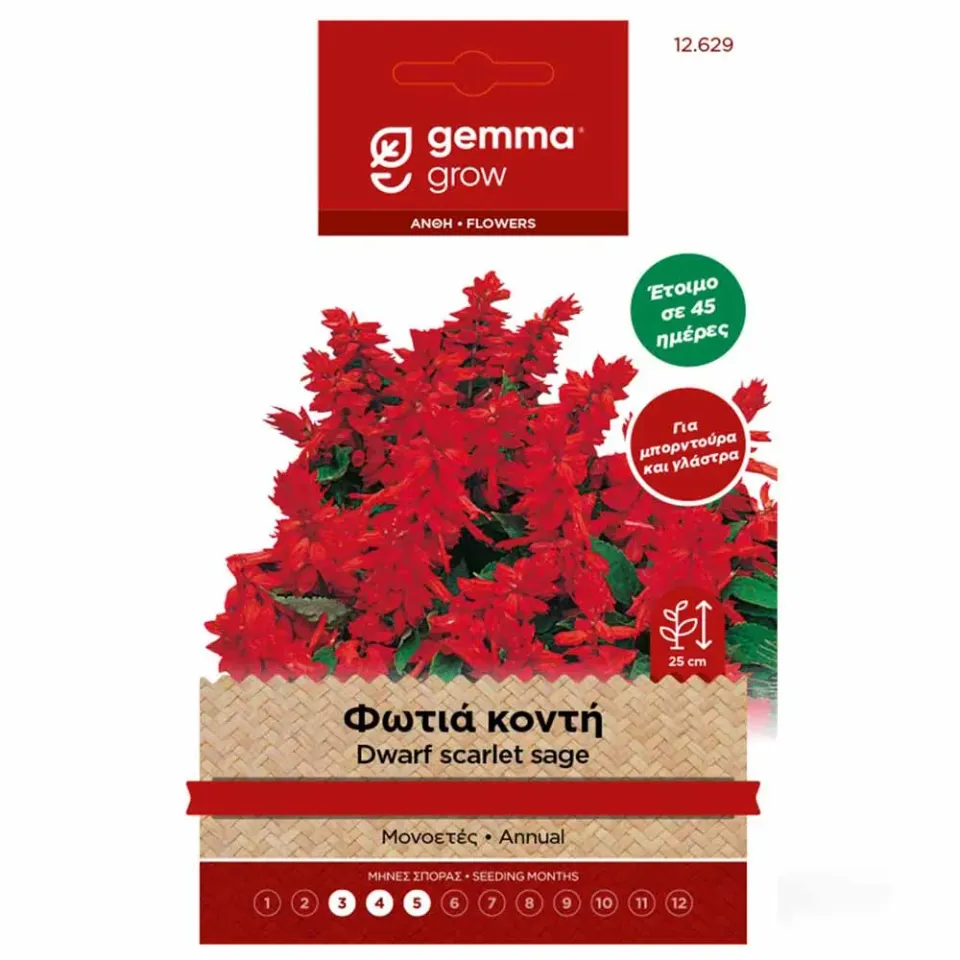 MyAgroMarket Φωτιά Κοντή σπόροι σάλβια 0,3gr