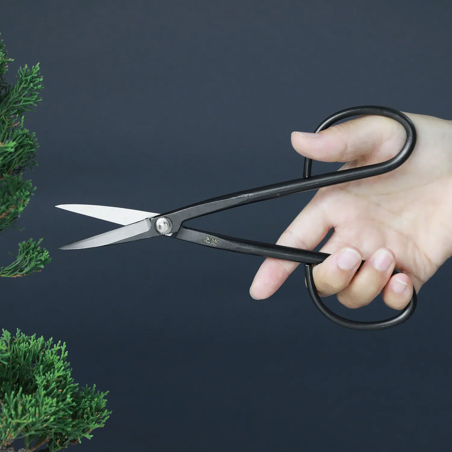 Wazakura Yasugi Twig ψαλίδι μπονσάι 210mm ατσάλι YCS3