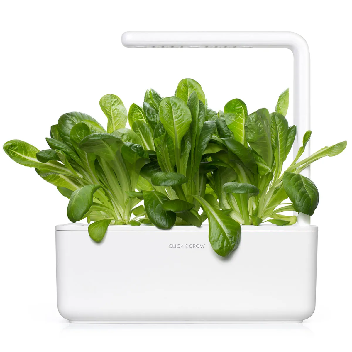 Click and Grow Romaine Lettuce κάψουλες μαρουλιού 3 τεμ