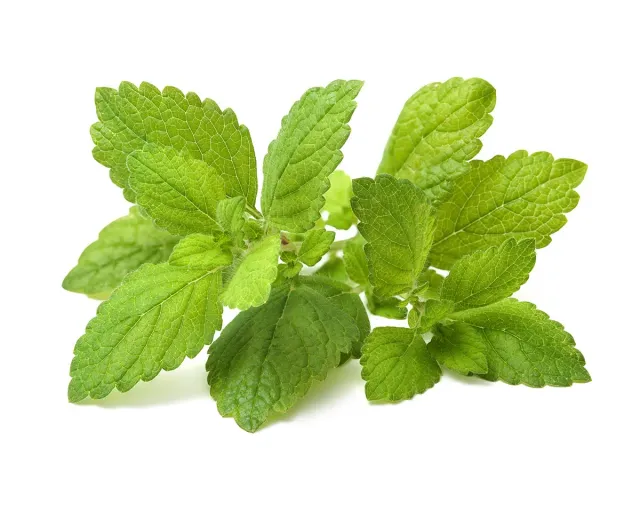 Click and Grow Lemon Balm κάψουλες φυτών 3-pack ήπιο