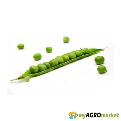 MyAgroMarket Utrillo σπόροι αρακά 50gr μεσοόψιμος