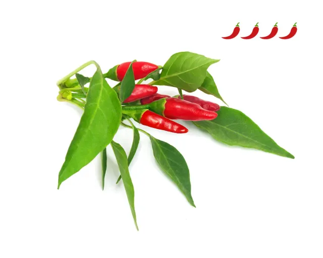 Click and Grow Piri Piri κάψουλες τσίλι 3 τεμάχια