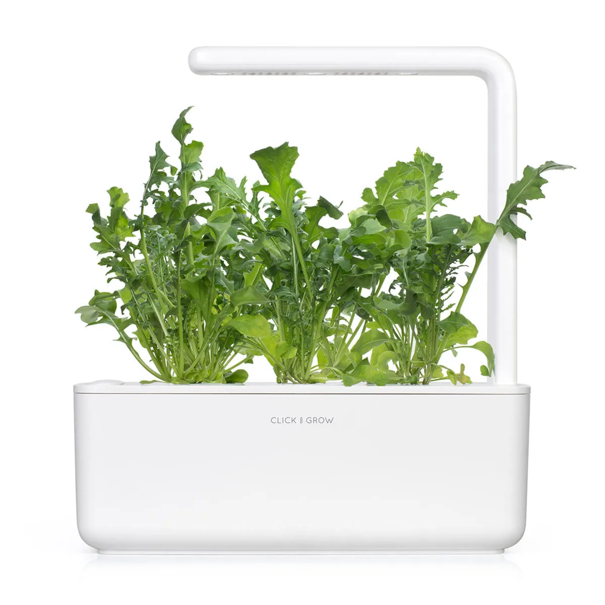 Click and Grow Arugula κάψουλες 3 τεμ ρόκα